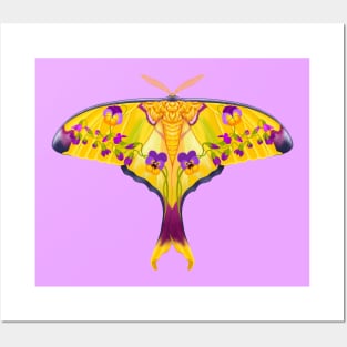 Violet Comet Moth Posters and Art